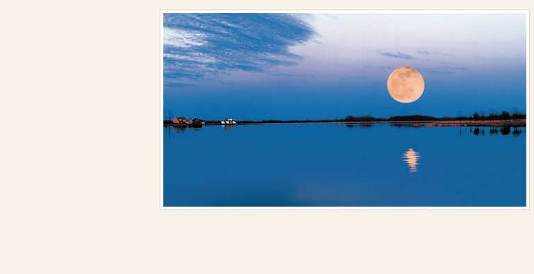 A short drive north to Madison County finds you in a place far from civilization that is set aside to harbor the riches of nature. It is Caroline.